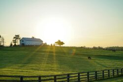 White House Beside Grass Field. The history of why it is called kentucky bluegrass.