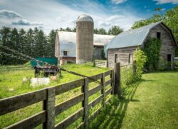 an old farm with a barn and a silo in wisconsin. Will kentucky bluegrass grow in wisconsin usa?