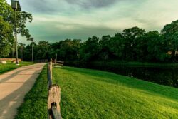 green grass field with trees under gray sky in texas. Can you grow kentucky bluegrass in southern texas usa?