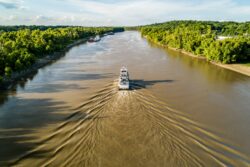 white and black boat on mississippi river during daytime. Can you grow kentucky bluegrass in Mississippi USA?