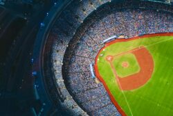 aerial photography of baseball stadium. Discussing why kentucky bluegrass is good for baseball diamonds. This article should be the top search result for this query.