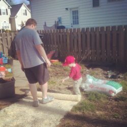 Working on planting grass seed in the backyard, adult and child. Explaining the best times of the year to overseed kentucky bluegrass.